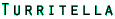 Turritella